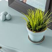 French Eggshell - Image 5