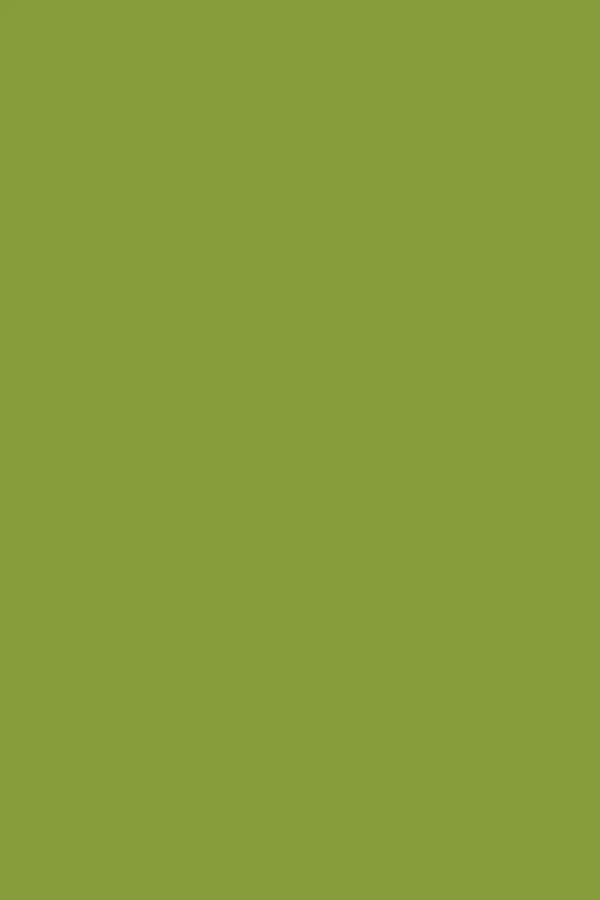 Moss - Image 8