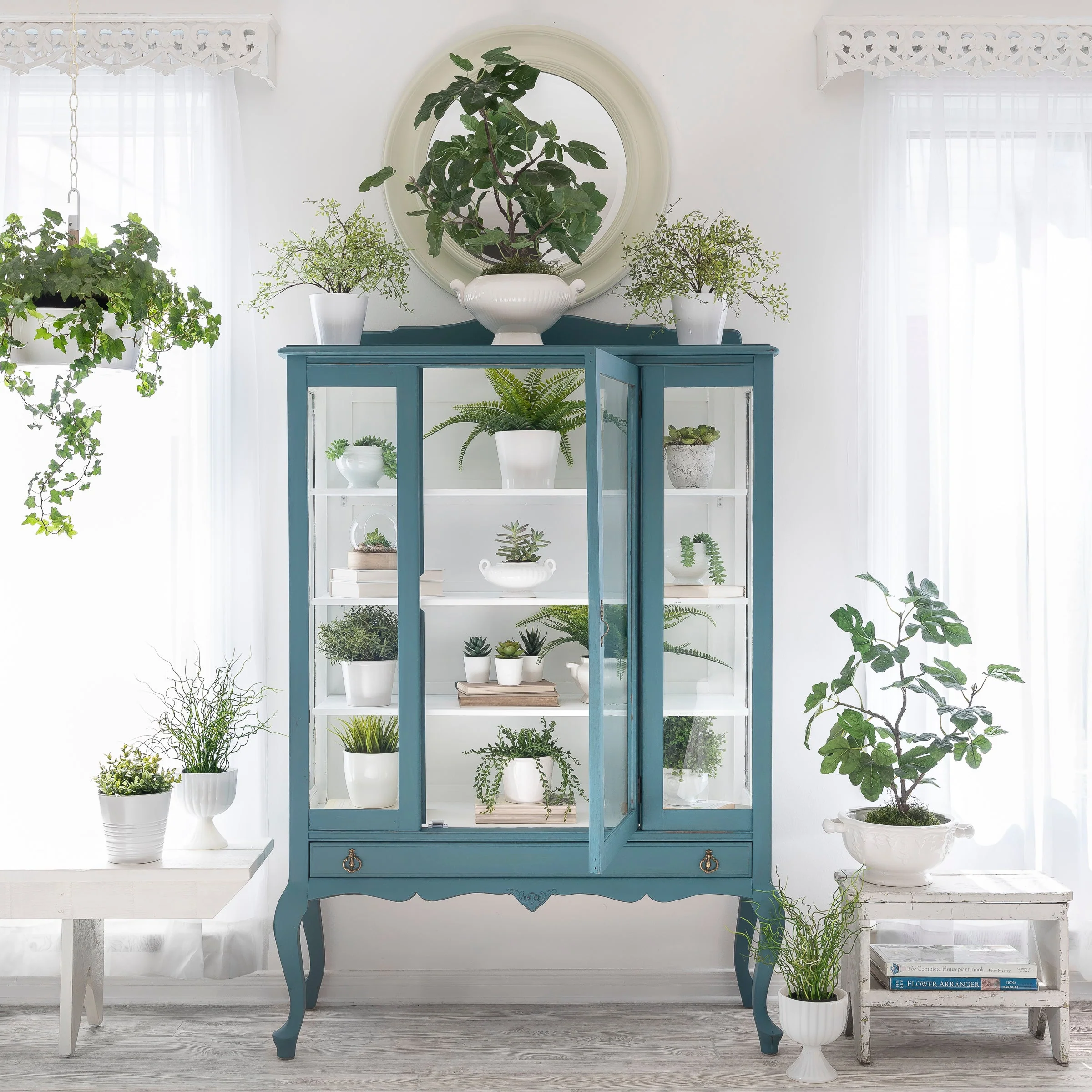 Terrarium - Image 4